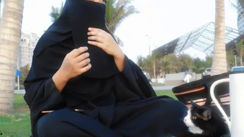 娱乐吃瓜君9,揭秘娱乐圈最新热点事件  第1张